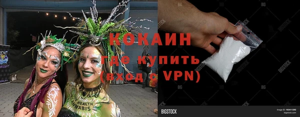 прущие грибы Балахна