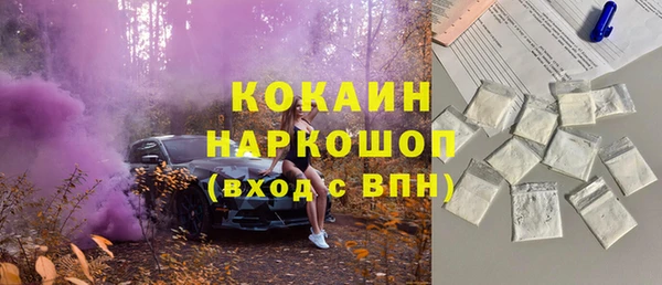 прущие грибы Балахна