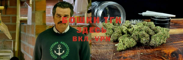 прущие грибы Балахна